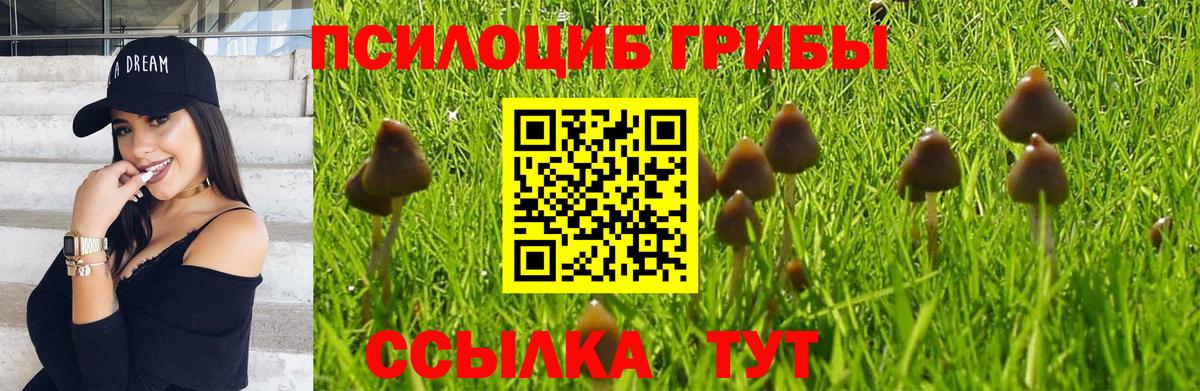 Галлюциногенные грибы Cubensis  Вход с VPN  Саров 