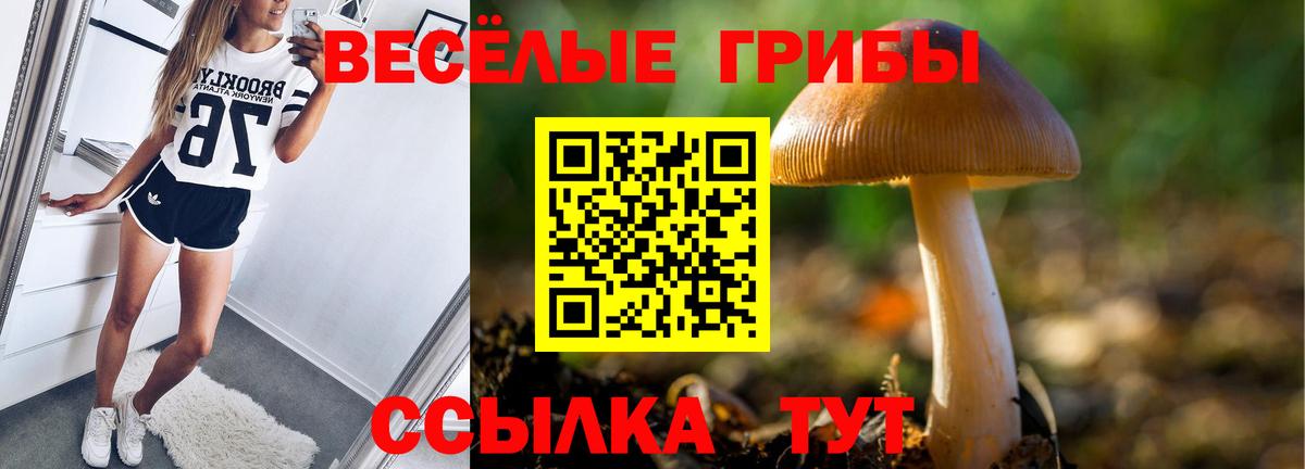 Псилоцибиновые грибы MAGIC MUSHROOMS Саров